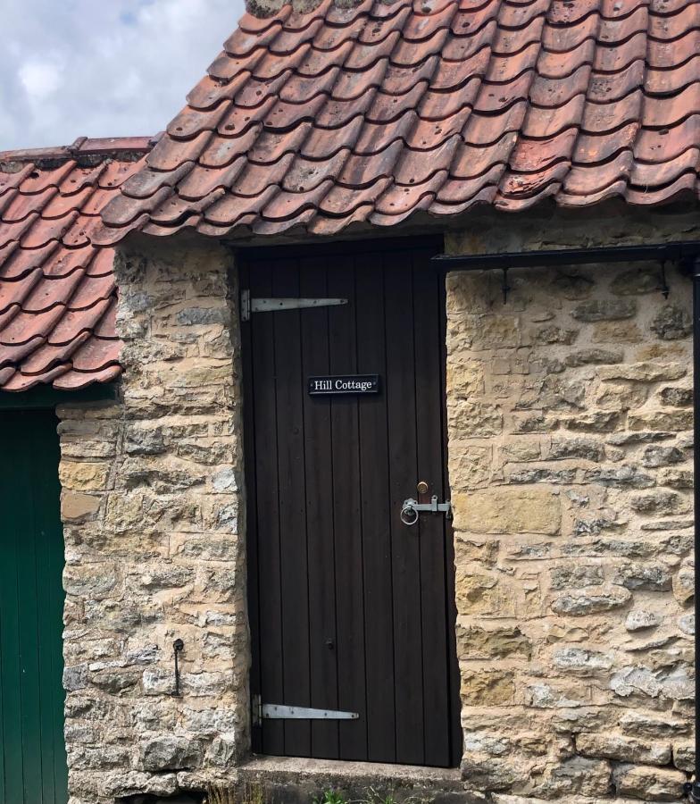 Hill Cottage, Thornton-Le-Dale Торнтон-Дейл Екстер'єр фото